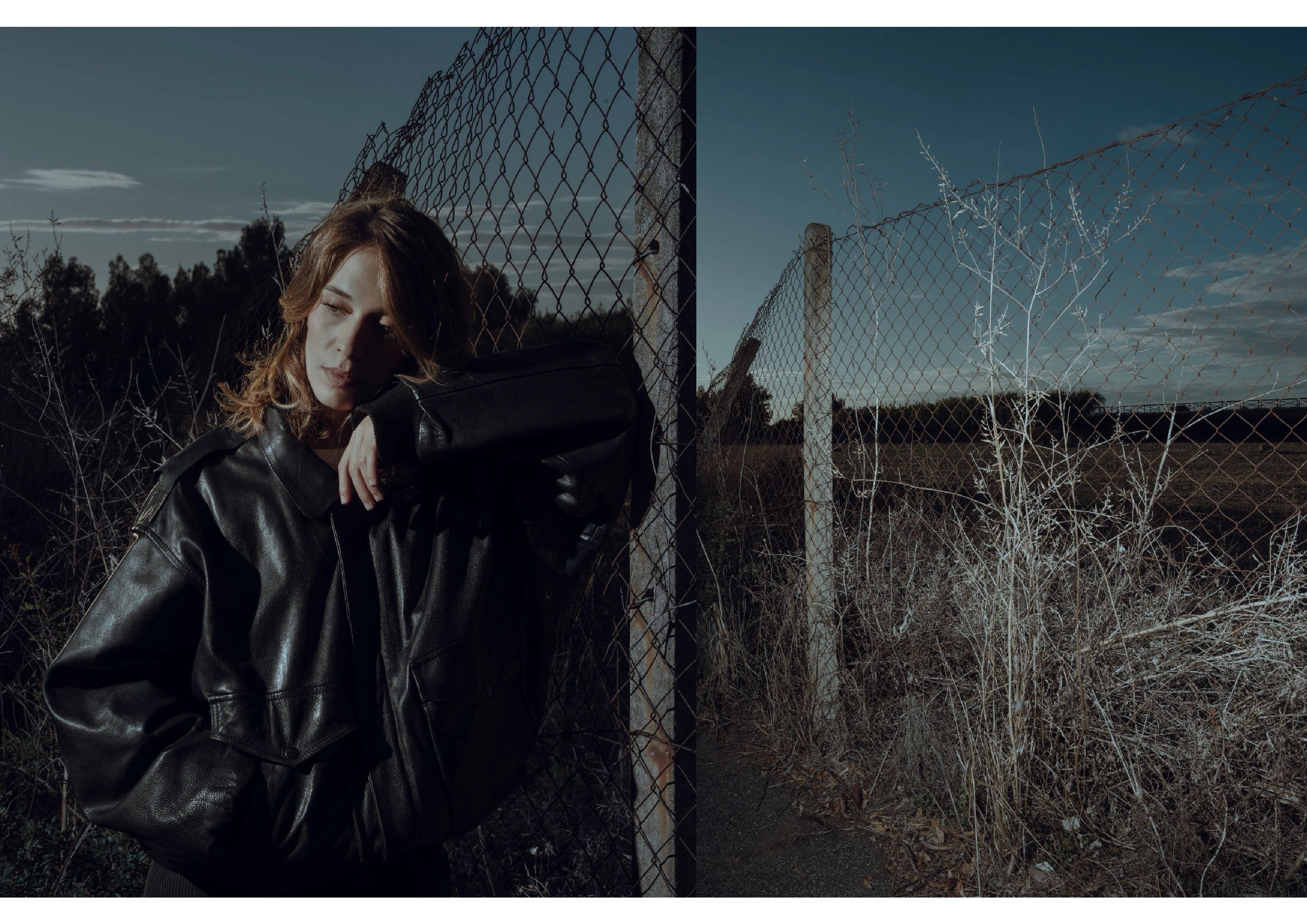 Suburbia — 2